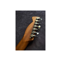 Guitare électrique 7 cordes HC-TEC Custom Artisanale - MOQ 1 pc, couleur perso., logo suppl. & plus