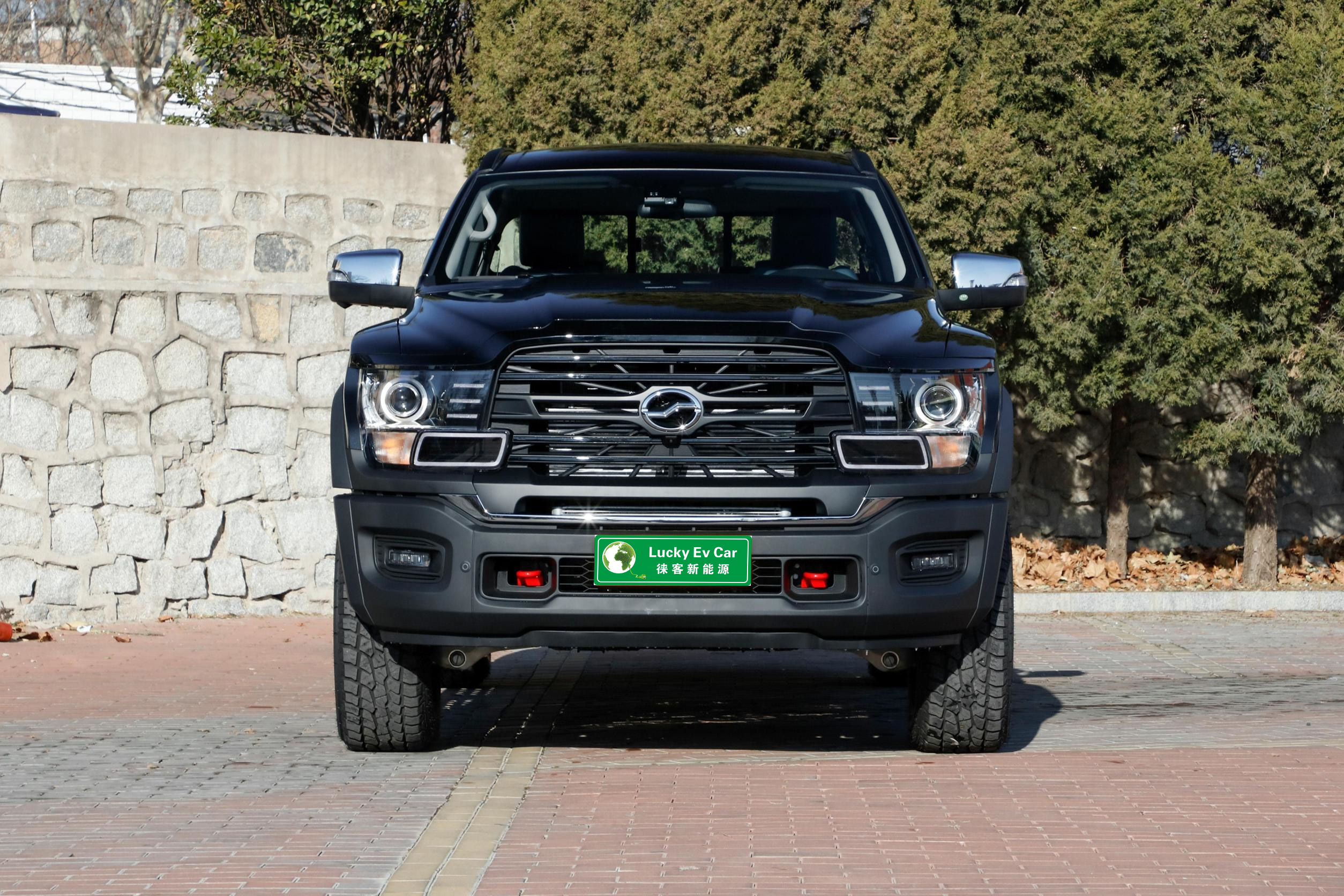 『4年保証』 Truck Pickup New ZXAUTO - up Pick ZX - Vehicle Cargo Chinese ギター