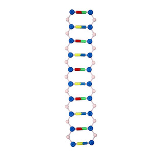 Modelo de estructura de doble hélice del ADN, material genético y variación, instrumentos de enseñanza de biología para secundaria y experimentos. - Product Image 4