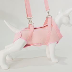 Logo merek kustom fungsi tahan air tali panjang dengan bantalan yang dapat disesuaikan set tali dan kekang anjing peliharaan lembut - Product Image 1