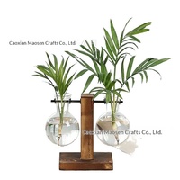 Petit vase hydroponique créatif en bois, décoration, culture aquatique de plantes vertes, arrangement floral transparent