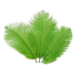 Pabrik Grosir 10-12 Inci (25-30Cm) Dekorasi Bulu Alami Berwarna Bulu Burung Unta dengan Harga Murah untuk Pernikahan Wal Dekorasi - Product Image 2