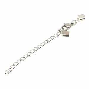 Anno Jewelry Stainless Steel Lobster Buckle With Teardrop Chain And Snake Head For DIY Jewelry Making Accessories - Product Image 2