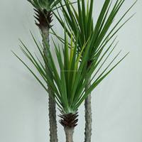 Succulente Artificielle Bonsaï Ananas en PE de 1,5 m – Plante en Pot Écologique et Durable pour Décoration Maison, Hôtel, Jardin – Idéale Pâques, Anniversaire
