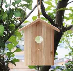 Nouveau Kit de Nid d'Oiseaux en Bois Massif Personnalisable Entièrement Assemblé avec Fenêtre Transparente et Fermeture à Bouton - Product Image 4