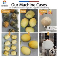 FENGXIANG Desktop Ananas Schilmachine, Verstelbare Schil Dikte, Fruit Schiller voor Fruitverwerkingsbedrijven FXP-66S
