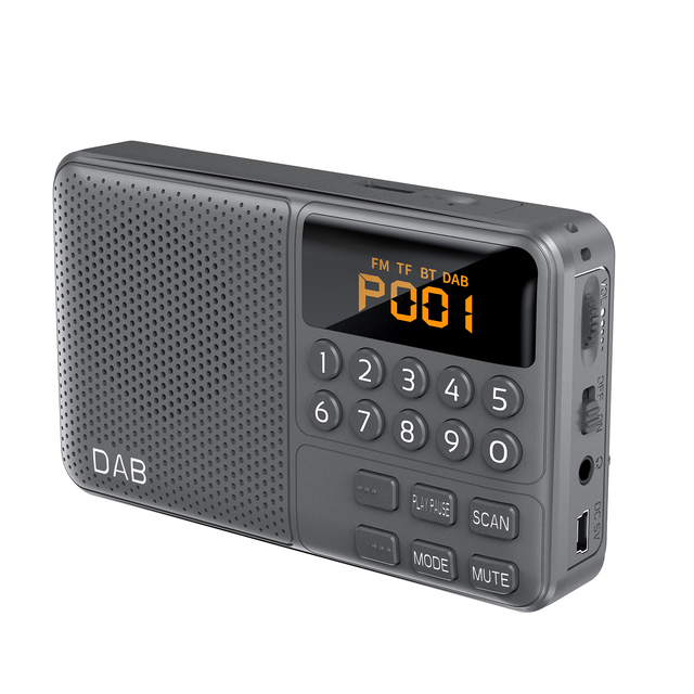 Portable DAB/DAB+ FM Radio With Blue Tooth Speaker and SD TF Card USB Player