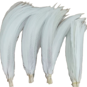 Plumas de Cola de Faisán Naturales Plateadas al por Mayor, de 15-80 cm, Impermeables, para Manualidades, Disfraces de <span class=keywords><strong>Carnaval</strong></span>, Graduación, Día de San Valentín - Product Image 1