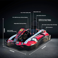 Karting Électrique Personnalisable pour Adultes, Haute Performance 70km/h, Voiture de Drift Commerciale, Moteur Central 4000W Monoplace