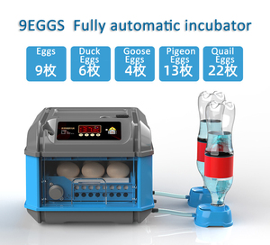 Incubadora automática de huevos de pavo <span class=keywords><strong>real</strong></span>, máquina para incubar huevos de <span class=keywords><strong>gallina</strong></span>, 300, hecha en China - Product Image 4