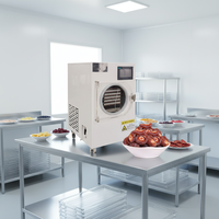 BZ4-6kg Automatische Pomp Vriesdroogapparaat Kleine Mini Huishoudelijke Lyofilisator Vacuümvriesdroger Energiebesparende Machine voor Voedsel, Fruit en Snoep