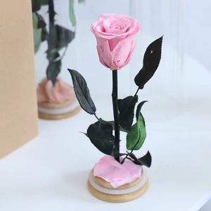 Rosa Preservada en Cúpula de Cristal, Campana Alta de Borosilicato con Base de Madera, Regalo Eterno de una Sola Flor para el Día de San Valentín, Boda - Product Image 6