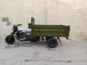 & 300cc Open Passenger 5-Wheel <b>Gasoline</b> for Versatile Transport - Product Image 3