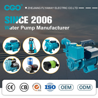 Cgo Pompe immergee De Puit 1.5Kw 2Hp 110V Dc Ss Turbine Irrigation Système de pompage solaire Pompe à eau pour puits profonds Pompes submersibles