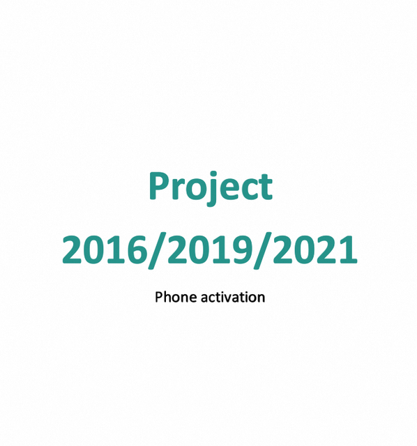 Phone Activation Version Pro for Project Professional 2016/2019/2021 Software Guaranteed Online Shipping