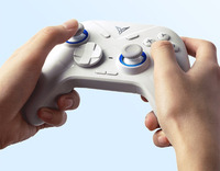 Manette de jeu Direwolf 2 PC avec joystick à effet Hall pour PC/NS/TV/Ordinateur portable/Android natif