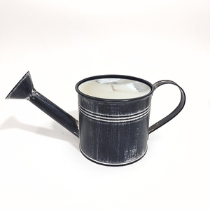 <span class=keywords><strong>Arrosoir</strong></span> en métal de jardinage antique petit pot de fleur en <span class=keywords><strong>zinc</strong></span> galvanisé mignon <span class=keywords><strong>décoration</strong></span> de jardinière - Product Image 1