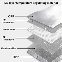 Sac isotherme de repas à emporter écologique imperméable à l'eau non tissé isolé pour le déjeuner avec logo
