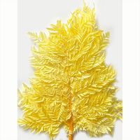 Bunga Pakis Highland Awet 45cm 200g Dekorasi Rumah, Pernikahan & Ulang Tahun Bahan Kering Awet Produsen Yunnan