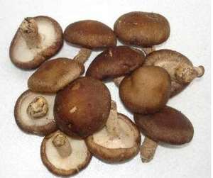 Attrezzatura cubica dell'autoclave dello sterilizzatore del fungo del commestibile dell'ostrica per la sterilizzazione che coltiva - Product Image 6