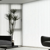 Rideaux Transparents Verticaux Hanas Dream, Lames Séparées Sans Joint, Facile à Déplacer, Fonctionnement Manuel par Tige de Traction, Tissu Occultant, Stores pour Fenêtres