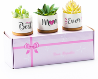 Personnalisable Simple Mini Pot Succulent En Céramique Pot De Fleur En Porcelaine Blanche Coffret Cadeau Design Minimaliste pour la Rentrée
