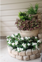 5 plantes artificielles de Coleus résistantes aux UV, en soie, pour jardin extérieur, patio, jardinière suspendue, allée, décoration de porche avant