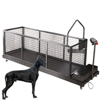 Tapis de sport électrique pour chiens, 5hp, tapis roulant pour la maison, équipement pour le meilleur prix, adapté aux grands chiots et chatons
