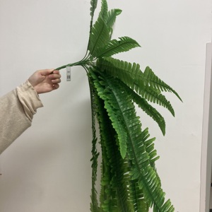 Cây xanh nhân tạo tuyệt vời Ba Tư treo tường cỏ lá cây sắt ngất hoa giả phụ kiện trang trí - Product Image 5