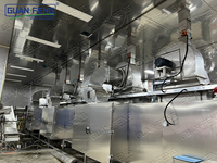 Fruitdroogmachine, ananasbanddroogmachine, apparatuur voor de verwerking van gedroogd fruit