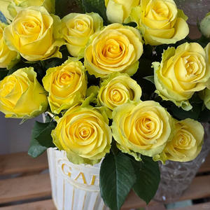 中国出口俄罗斯的黄玫瑰鲜切花，采用冷藏车温度控制，保持鲜花新鲜。 - Product Image 4