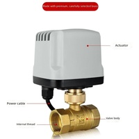 Vanne à boisseau sphérique électrique en laiton étanche IP65 DN15-DN50 1/2 pouce 3 fils 2 commandes AC220V DC12V DC24V Normalement Ouverte/Fermée