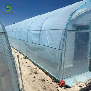 <span class=keywords><strong>Serre</strong></span> à film PE à portée unique avec cadre en acier galvanisé <span class=keywords><strong>Serre</strong></span> à petit tunnel économique pour l'agriculture des fleurs et des plantes - Product Image 4
