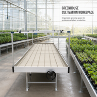 Banc de culture mobile à roulettes, système d'irrigation par flux et reflux, utilisé pour la culture de diverses cultures.