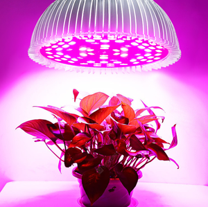 E27 Lamp Holder <strong>Best</strong> <strong>LED</strong> Grow Light 2022 Waterproof <strong>LED</strong> Grow Light <strong>Bulb</strong> for Indoor <strong>Plant</strong> Growing - Product Image 2