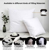 Fournisseur certifié BSCI, collection d'hôtel personnalisée, oreiller de luxe en plumes de canard blanc largement utilisé, 50x50 cm, insert d'oreiller, fabricants de coussins