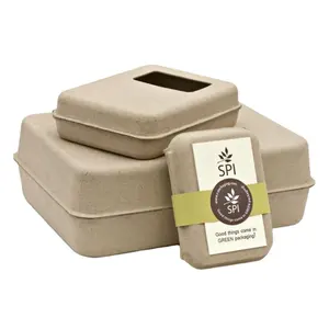Emballage en pâte de papier moulé écologique, emballage de sachet de thé personnalisé, pressé à sec, plateaux de pâte moulée