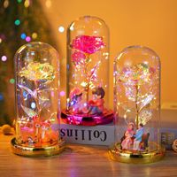 Lampe LED en forme de rose sous cloche en verre avec figurine, lampe à fleur éternelle Galaxie pour la décoration de la maison, cadeau pour la Saint-Valentin, un mariage ou Noël