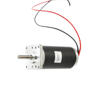 Moteur à balais avec Micro aimant Permanent, 36 V, 24V, cc, moteur électrique à courant continu