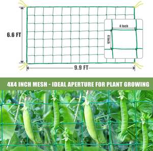 HDPE Tırmanma Önleyici Kuş Ağı Kesim Hizmetiyle Birlikte - Salatalık, Yam ve Diğer Asma Bitkileri Destekler - Product Image 4