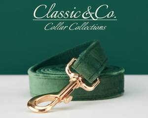 Forest Veet Personnalisez l'ensemble de laisse de collier de chien avec fleur et nœud papillon pour animal de compagnie mâle et femelle, étiquette de nom gravée en or, cadeau de chiot de mariage - Product Image 5