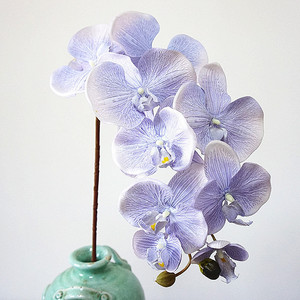 Orchidées Phalaenopsis en soie Haiyi, 10 têtes, style rétro réaliste, pour la décoration de salon et de maison - Product Image 1