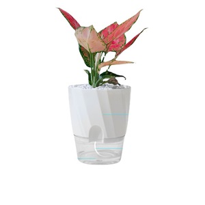 Pot de fleur en plastique transparent auto-arrosant automatique absorbant l'<span class=keywords><strong>eau</strong></span> avec corde de coton pour une utilisation dans le jardin - Product Image 1