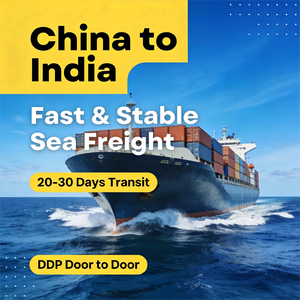 Expédition en vrac depuis l'usine indienne DDP LCL+Express vers le Bangladesh et l'Inde en 20-30 jours <span class=keywords><strong>MSC</strong></span>/COSCO - Product Image 3