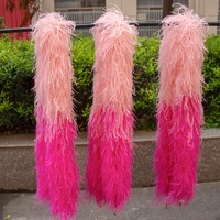 Teint Moelleux 20ply Plume D'autruche Boa pour Femmes pour DIY Costume Robe De Danse Fête De Mariage Carnaval Décor Naturel pour Festivals