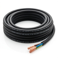 H07RN-F Flexibles Gummi-Isoliertes Niederspannungs-Stromkabel 2-Adrig 5-Adrig 1,5mm2 2,5mm2 4mm2 Kupfer-Elektrokabel 15kV Nennspannung für
