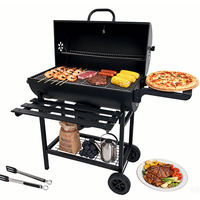 Parrilla de Carbón para Asar, Parrilla de Carbón Vegetal para Cocina al Aire Libre