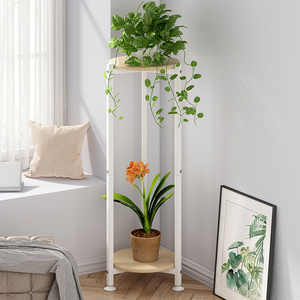 Living Room Balcony Garden Patio Multiple <strong>Plants</strong> Display Rack 2 Tier Indoor Outdoor Tall <strong>Corner</strong> <strong>Plant</strong> Shelf Metal Flower Stands - Product Image 4