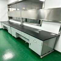 Durable Industrial Hospital Laboratory Workstation Solid Core Physical Chemical Board Phenolic Surface Workbench