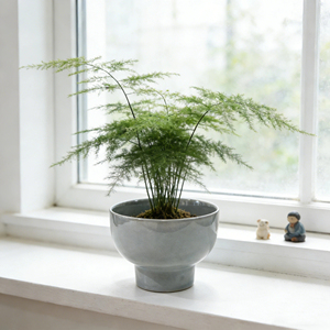 Nouveauté 2026 : Pots de fleurs en céramique blancs et gris clair en forme de bol <span class=keywords><strong>sur</strong></span> <span class=keywords><strong>pied</strong></span>, vente directe usine, pour plantes succulentes d'intérieur, décoration maison - Product Image 1